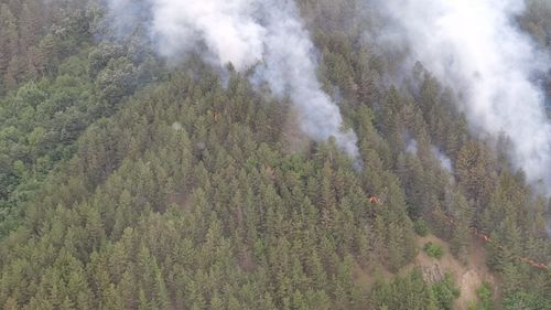 Incendiul din Parcul Natural Porţile de Fier a fost stins. Au fost afectate 10 hectare de vegetaţie
