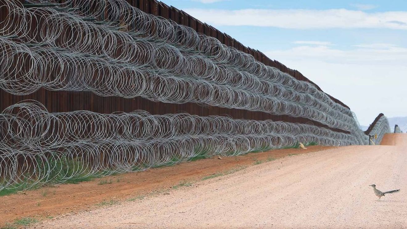 Un cuc alergător în fața zidului lui Trump – un mexican a câștigat cu această fotografie premiul ”Fotograful de păsări al anului”