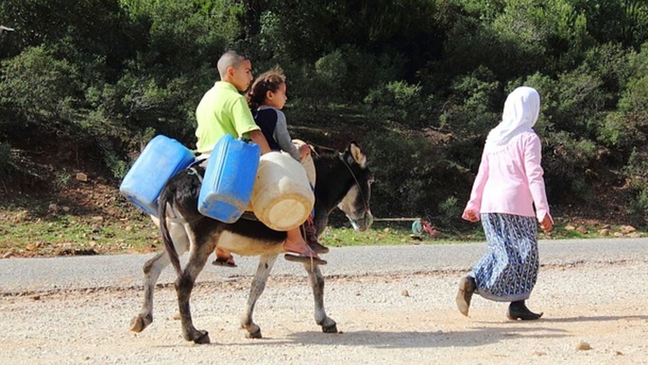 OMS avertizează că pandemia este departe a se fi încheiat și cere donarea urgentă a vaccinurilor în țările sărace