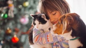 Victorie în instanță pentru iubitorii de animale din Craiova: „Legea Olguței”, care limita numărul de câini și pisici, suspendată de Tribunal / HCL-ul din 27 noiembrie, blocat până la judecarea procesului pe fond