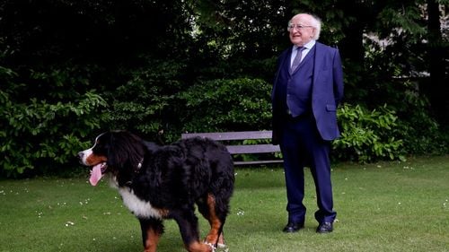 Presidential pets. Animalele de companie ale politicienilor celebri și care sunt poveștile lor