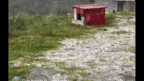VIDEO A nins în munții Maramureșului / Un salvamontist voluntar a filmat prima zăpadă din acest sezon