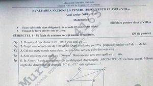 Subiecte simulare Matematică clasa a VIII-a: Vezi ce exerciții au avut de rezolvat elevii la simularea evaluării naționale