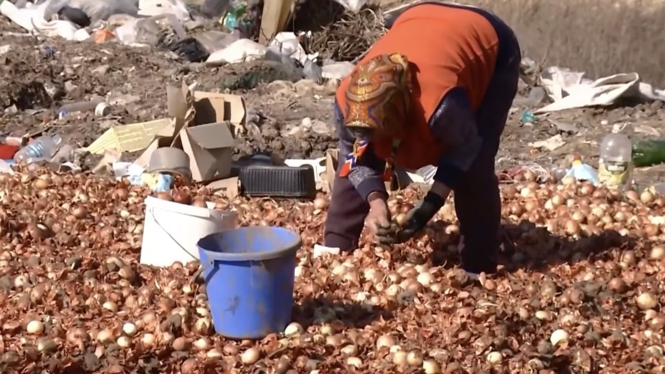 VIDEO Tone de legume, aruncate la o groapă de gunoi în Republica Moldova /  ”Ceapă bună, o curăț de prima coajă, din magazin tot așa o iau” / Producătorii susțin că produsele aruncate nu au trecut standardele pentru intrarea în comerț