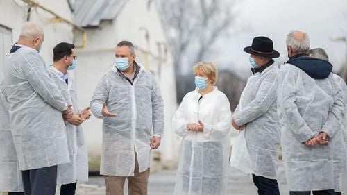 Premierul Ciucă, vizită la o fermă de pui și la o fabrică de nutrețuri