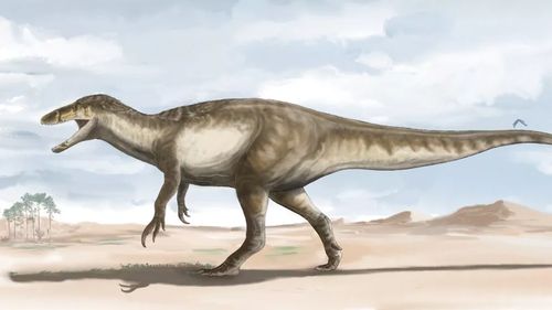 Rămăşiţe ale celui mai mare dinozaur carnivor de pe teritoriul Europei, descoperite în Insula Wight / Paleontolog: Este unul dintre cei mai mari, posibil cel mai mare, prădător terestru care a trăit vreodată în Europa