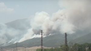 Se extind incendiile de pădure din Bulgaria. Doi silvicultori au murit în timp ce încercau să oprească focul