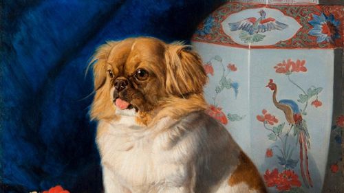 Câini din 85 de rase, prezenţi la competiţia Bistritzer Burg Dog Show din Bistrița, la sfârşitul săptămânii / Se reunesc crescători din 11 țări