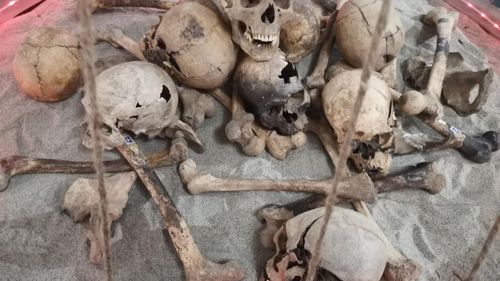 FOTO Fragmente de sarcofag regal, obiecte de cult, ceramică, bijuterii, piese arhitecturale – toate adunate de pe șantierul arheologic de la mănăstirea cisterciană de la Igriș