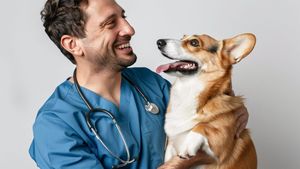 De ce recomandă veterinarii controalele regulate la câini și pisici: Beneficii și sfaturi utile