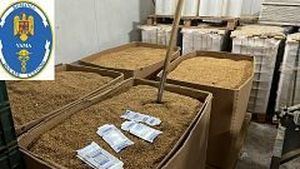 Inspectorii vamali au reţinut în urma unor controale tutun şi articole de îmbrăcăminte în valoare de aproximativ 1,1 milioane de lei