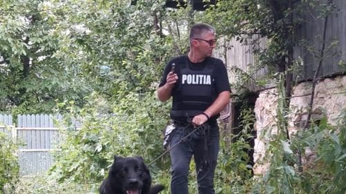 Statistici îngrijorătoare. Crește alarmant numărul de amenzi aplicate în primele 7 luni ale anului pentru rele tratamente aplicate animalelor, abuzuri, abandonuri sau nereguli găsite la adăposturi