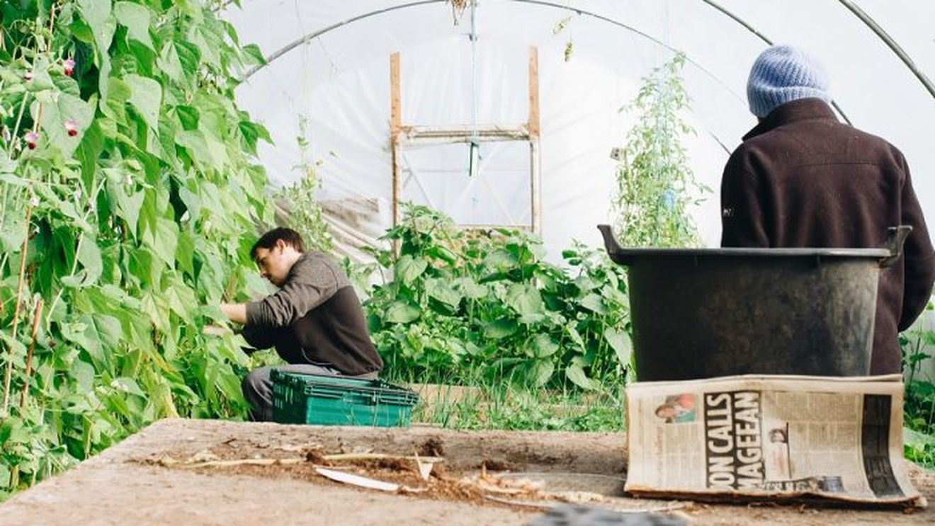 Pachetul de măsuri de sprijin: Salariul minim din agricultură și industria alimentară crește la 3.000 lei brut, similar cu domeniul construcțiilor