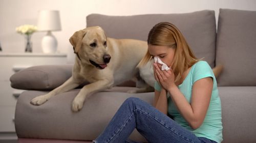 VIDEO EXCLUSIV | Care sunt semnele de răceală la câine: Simptomele care indică o posibilă problemă gravă / Se poate transmite răceala de la câine la om? Sfaturile medicului veterinar Beatrice Ilea