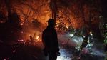 IGSU România, despre prima misiune la incendiile din Franța: Pompierii români au acționat în sectoarele repartizate, sub coordonarea autorităților franceze, contribuind la limitarea propagării incendiului și la protejarea locuințelor aflate în zonele amenințate