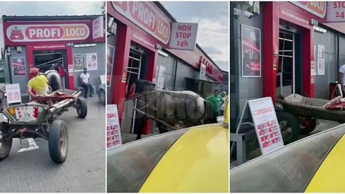 Protest împotriva polițiștilor al unui agent de pază de la un magazin Profi din Suceava / A intrat cu calul în magazinul pe care îl păzea