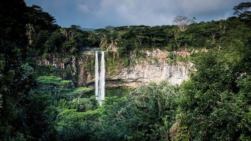 STUDIU Alertele prin satelit s-au dovedit utile în lupta împotriva tăierilor ilegale de păduri din Africa