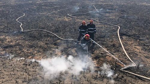 Cine deține bazinele cu dejecții care au luat foc la Periș. Cum a ajuns ferma de porci în faliment și câți bani trebuie să returneze actualul proprietar