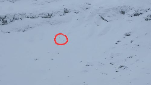 VIDEO Avalanșă de mari dimensiuni, declanșată accidental de doi schiori în zona Bâlea Lac din Munții Făgăraș