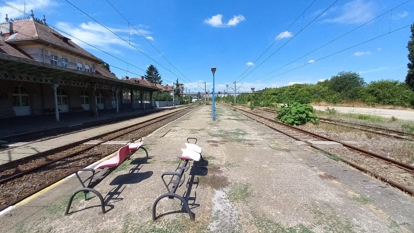 Primul pas pentru trenul metropolitan București-Ilfov: va fi lansată procedura de atribuire competitivă pentru contacte pe 15 ani / Estimare de 86.000 de călători pe zi pentru primele tronsoane între Gara de Nord - Obor - Băneasa - Scroviștea