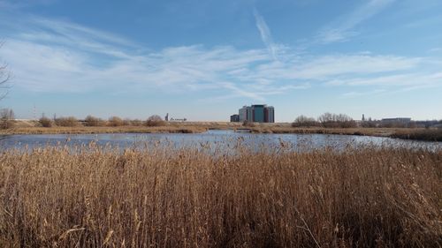 O acţiune de ecologizare este organizată pe 9 martie în Parcul Văcăreşti / Voluntarii sunt invitaţi să se implice