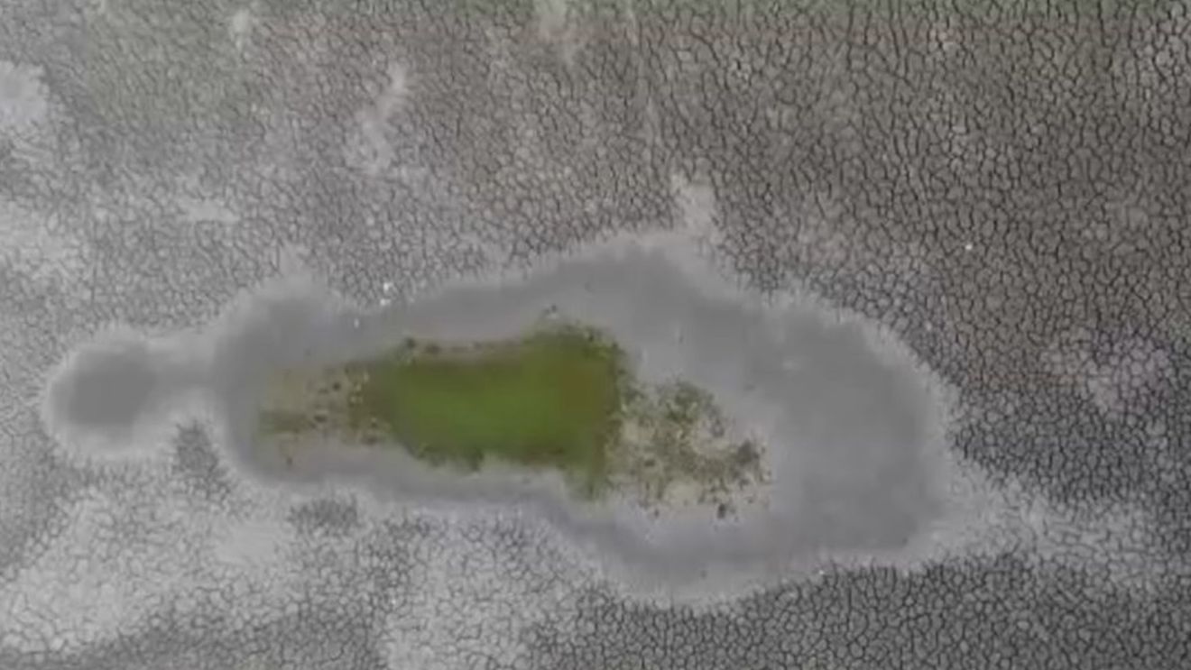 Efectele secetei prelungite: seacă ”Delta din Carpați” și Delta Văcărești / Apa se evaporă, peștii mor, iar mai multe specii de păsări sunt în pericol / ”Întregul ecosistem se va distruge” / Canicula va continua și în această săptămână