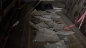 Român arestat în Italia: avea aproape 100 de kilograme de marijuana în camion / Drogurile erau ascunse în podeaua dublă a autovehiculului cu numere românești