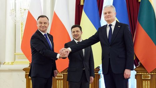 Președinții Duda și Nauseda: „Ucraina merită statutul de ţară candidată la aderarea la UE şi Lituania şi Polonia vor sprijini Ucraina în realizarea acestui scop”, în contextul „actualelor provocări de securitate”