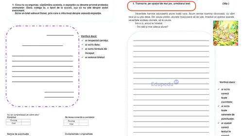 Creativitatea și comunicarea au fost eliminate de Ministerul Educației din cerințele de la Evaluarea Națională de clasa a II-a. Analiza subiectelor de la testarea la „Limbă și comunicare – scris” 2026