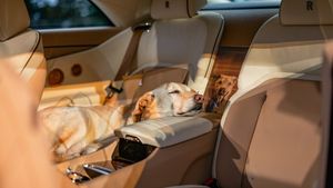 Rolls Royce de 1 milion de dolari personalizat pentru câinele familiei. Blana aurie, amprenta lăbuței și portretul lui Bailey au inspirat cea mai extravagantă mașină de lux