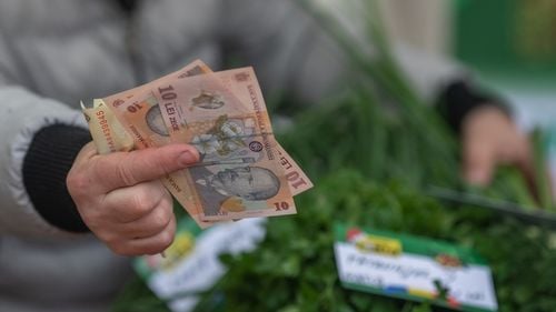 Noua lege a salarizării ar putea fi gata până în septembrie, spune președinta Comisiei de Învățământ din Camera Deputaților