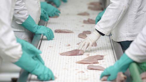 O rețea din Iași a furat tone de carne de pui, înlocuind-o cu apă / Au scăpat de pedeapsă după prescrierea faptelor