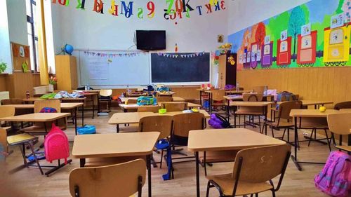 Monica Anisie: Școlile sunt pregătite pentru a deschide în 2 iunie cursurile înaintea examenelor naționale