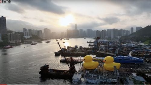 Hong Kong, sub alertă maximă de taifun: Vijelii cu viteze medii de 118 kilometri pe oră și sute de zboruri anulate din cauza taifunului Wipha