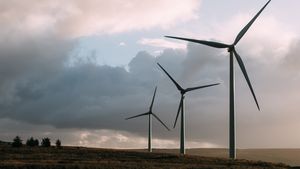 Cum a ieftinit vântul puternic curentul electric în unele țări europene / Preţurile în Germania au coborât sub nivelul zero /  La fel în Franţa, Danemarca şi Marea Britanie pentru câteva ore
