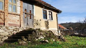 ANALIZĂ | Depopularea satelor românești și viitorul hranei în Europa. Cine va mai cultiva pământul peste 20 de ani?