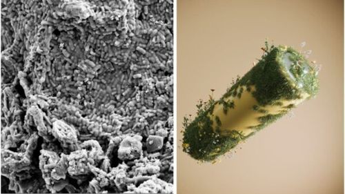 O baterie care se autodizolvă promite aplicații sigure în medicină și mediu