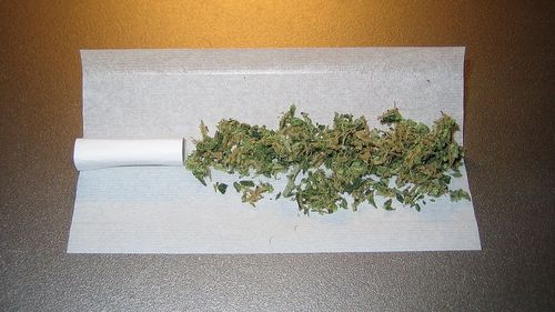 Legea privind utilizarea canabisului în scopuri medicale, adoptată tacit de către Senat