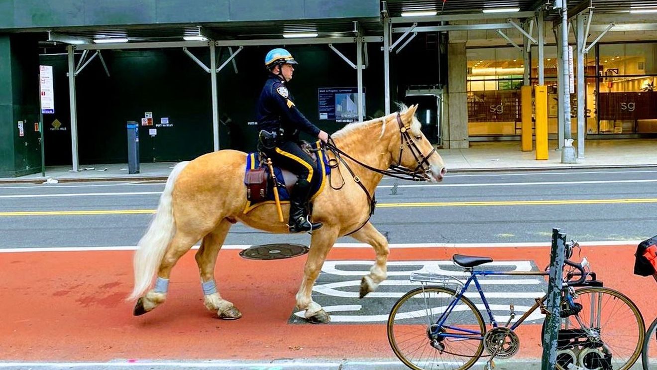 Măsurile luate în unele state americane ridică întrebări despre încălcarea libertăților fundamentale: Rupem în bucăți Constituția din cauza virusului