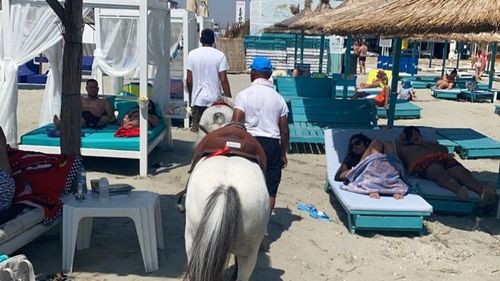 Se înmulțesc amenzile pentru exploatarea poneilor pe plajă/ Alți trei bărbați au fost amendați cu câte 3000 de lei pentru că au deshidratat și chinuit animalele/ Poneii au fost preluați de autorități