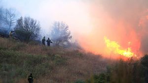 Grecia: Patru localități din apropierea orașului Petras au fost evacuate din pricina incendiilor de pădure care s-au extins în zonă