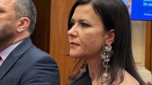 Cristina Chiriac, candidată la funcția de procuror general: un monument de conformism