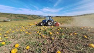 Randamentele agricole mondiale vor scădea cu procente cuprinse între 11% şi 24%, până în 2100