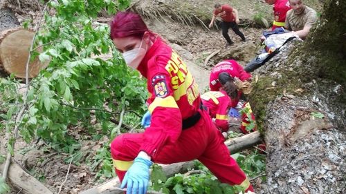 Sibiu: Un bărbat de 50 de ani a murit, după ce a fost prins sub un trunchi de copac în pădurea din localitatea Jina