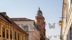 Timișoara va avea propria firmă de salubritate stradală / Primar: ”Utilajele nu vor fi achiziționate până la începutul serviciului, ci vor fi închiriate”