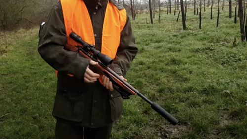 Câini împuşcaţi cu arme de vânătoare, într-o comună din judeţul Botoşani / Cadavrele mai multor animale au fost găsite îngropate / Poliţia a constatat că există autorizaţie de vânătoare pentru ”vulpi, gaiţă, coţofană şi câini hoinari”