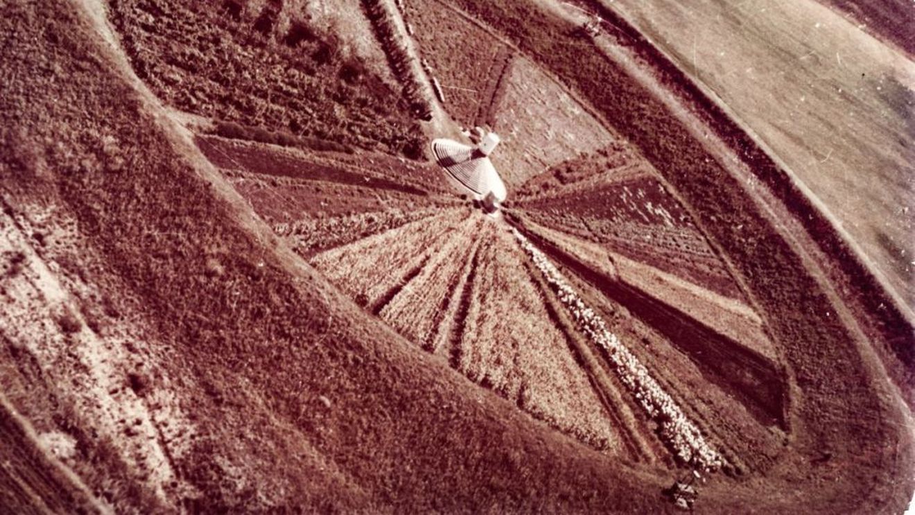 Grădina sovietică. Despre un experiment secret în agricultura Moldovei