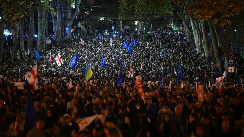 Absenţa observatorilor internaţionali la alegerile municipale din Georgia „subminează transparenţa şi credibilitatea procesului democratic”, avertizează Comisia Europeană