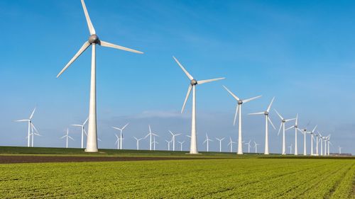 Trump minimalizează energia eoliană și dă ca exemplu Germania