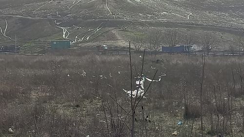 Locuitorii din nord-vestul Capitalei sunt terorizaţi de câteva zile de mirosuri greu de suportat. Localnică din Chiajna: „Vrei dimineaţa să aeriseşti, vrei să dai un copil afară, ce să respire? Unde să respire? Totul e toxic” / Care ar fi cauza - GALERIE FOTO